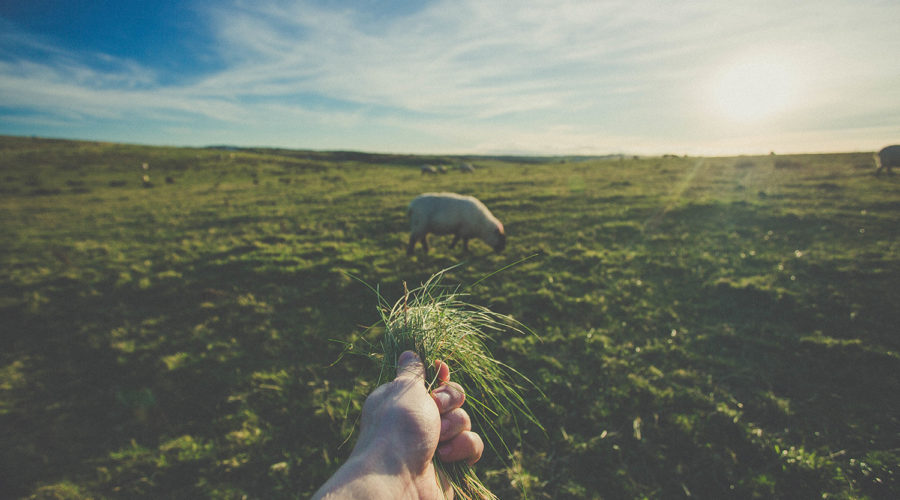 Where life is still present